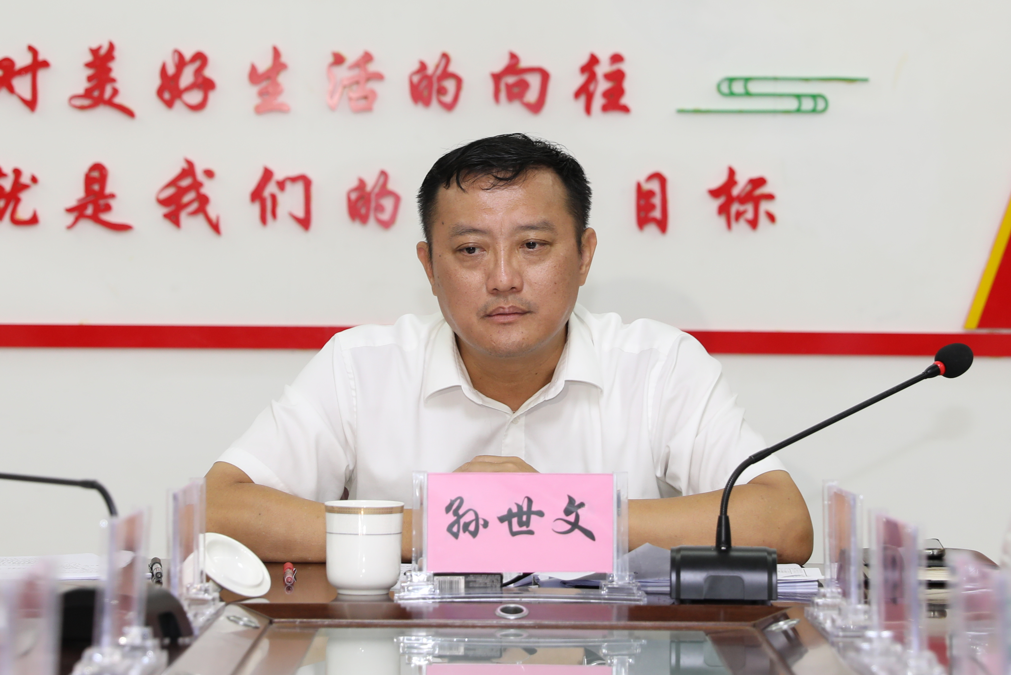乐东县委书记孙世文在九所镇调研时强调坚持党建引领推动高质量发展